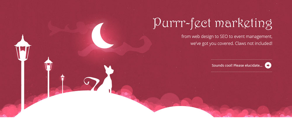 White Cat Marketing Agency thumbnail