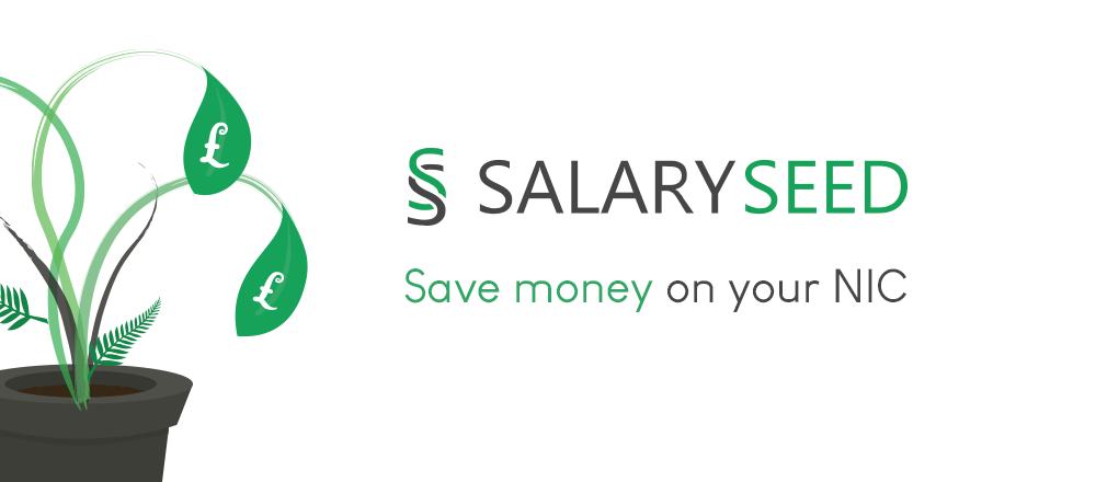 Salary Seed website thumbnail